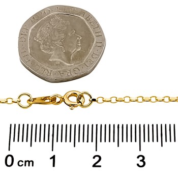 9ct gold 2.1g 18 inch belcher Chain